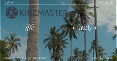A Completely Free Way to Remove the KineMaster Watermark